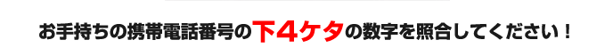 お手持ちの携帯電話番号の下4ケタの数字を照合してください！