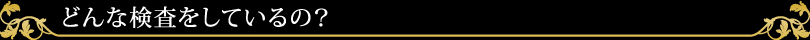 どんな検査をしているの？