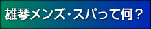 雄琴メンズ・スパって何？