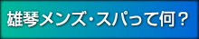 雄琴メンズ・スパって何？