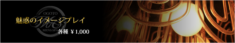 魅惑のイメージプレイ 各種&yen;1,000