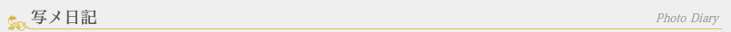 写メ日記